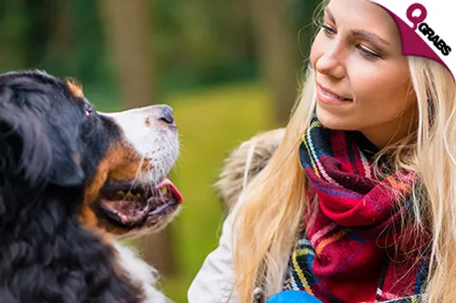 For QR69 Learn to Control Your Dog’s Behaviour with an Online Canine Training Course! (QR1347 Value)